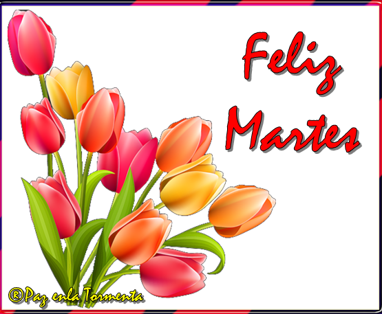 ® Imágenes y Gifs Animados ®: IMÁGENES DE FELIZ MARTES