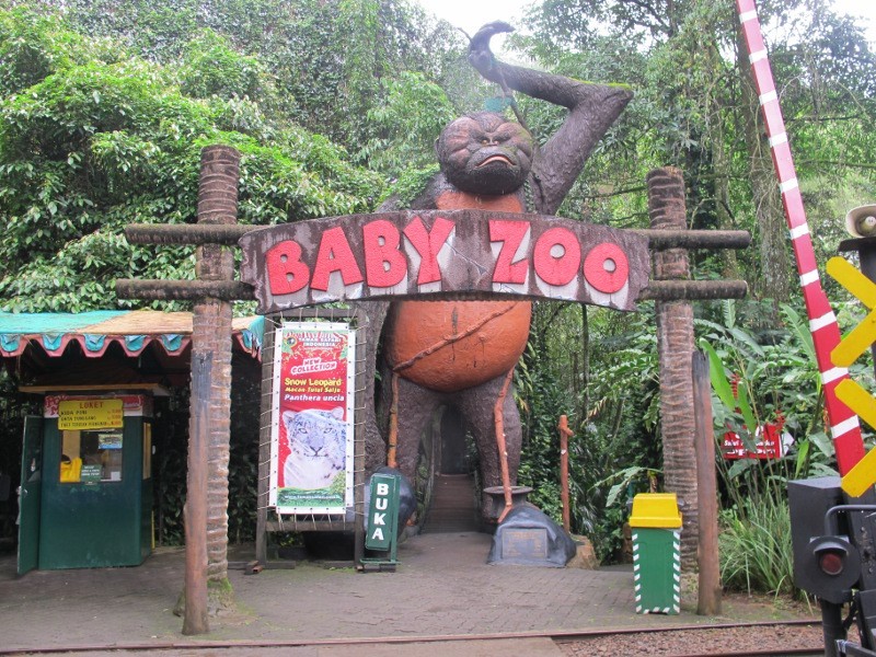 Agen Tiket Taman Safari Bogor Indonesia: Taman Safari - Baby Zoo