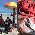 Tiburones atacan a tres surfistas en playa de Florida