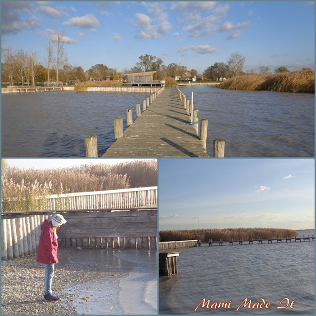 Neusiedler See im November - Lake Neusiedl in November