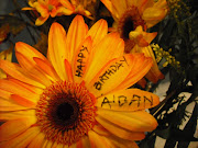 Aidan's Day Flower