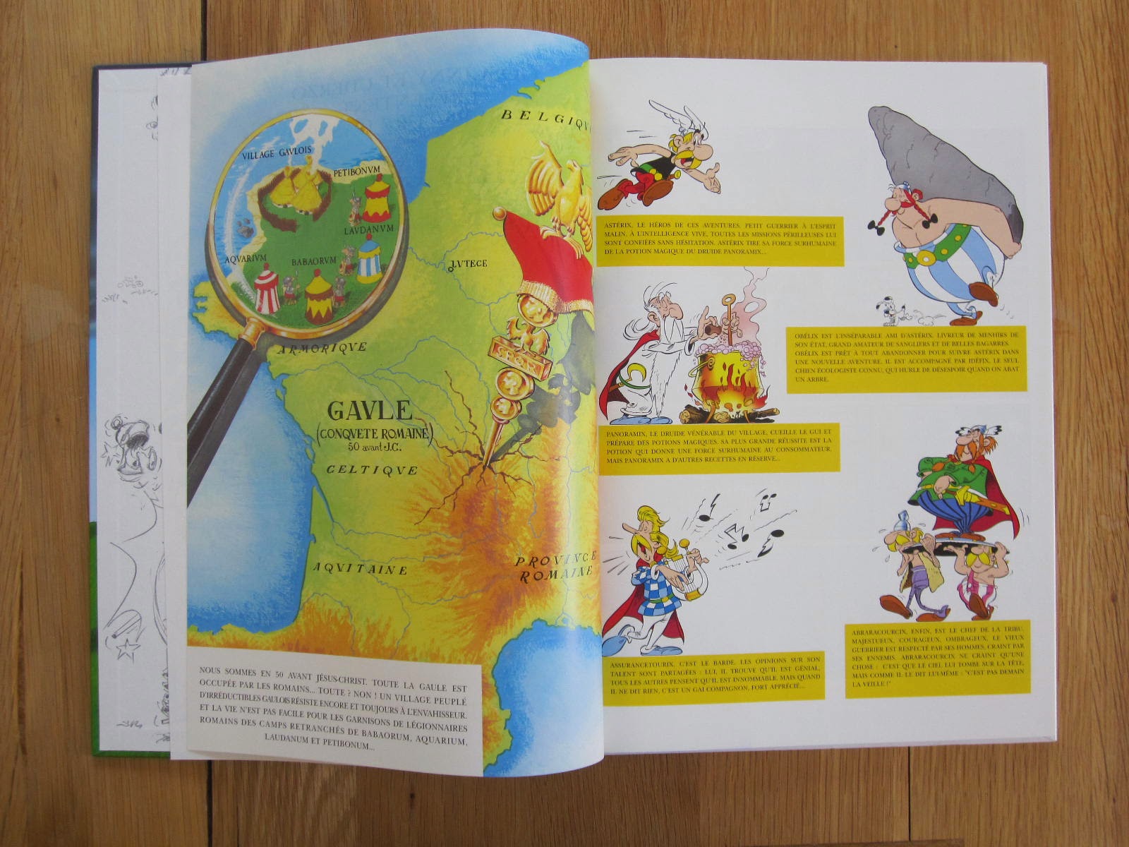 my absolute collection: Astérix Le Ciel Lui Tombe Sur La Tête Grand Format