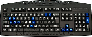 ArcGIS Earth Keyboard shortcuts Arrow keys    pan the camera and the view remains at a constant altitude.  =         Zooms toward where the camera is pointing -          Zooms away from where the camera is pointing  w/s      Rotate the camera up and down a/d      Rotate the camera clockwise and counterclockwise j          Lowers the camera toward the ground u         Raises the camera away from the ground q         Roams the view based on where the mouse is with respect to the center of the view p         Points the camera straight down at the ground n         Orients the view with north straight up