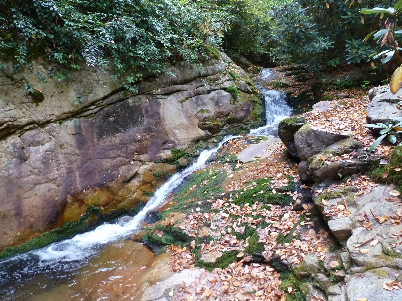 The Continuing Adventures of Eric, Noelle and Sierra Lost Cove, North