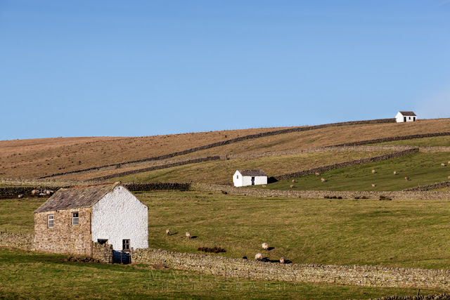 Pennine countryside under a blue sky with three rustic barns on the hills