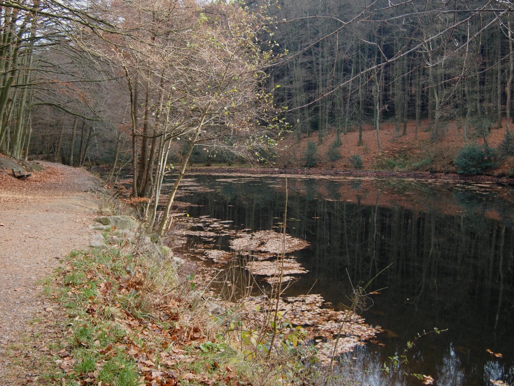 Tagebuch eines Herumtreibers Drei Teiche in Witten