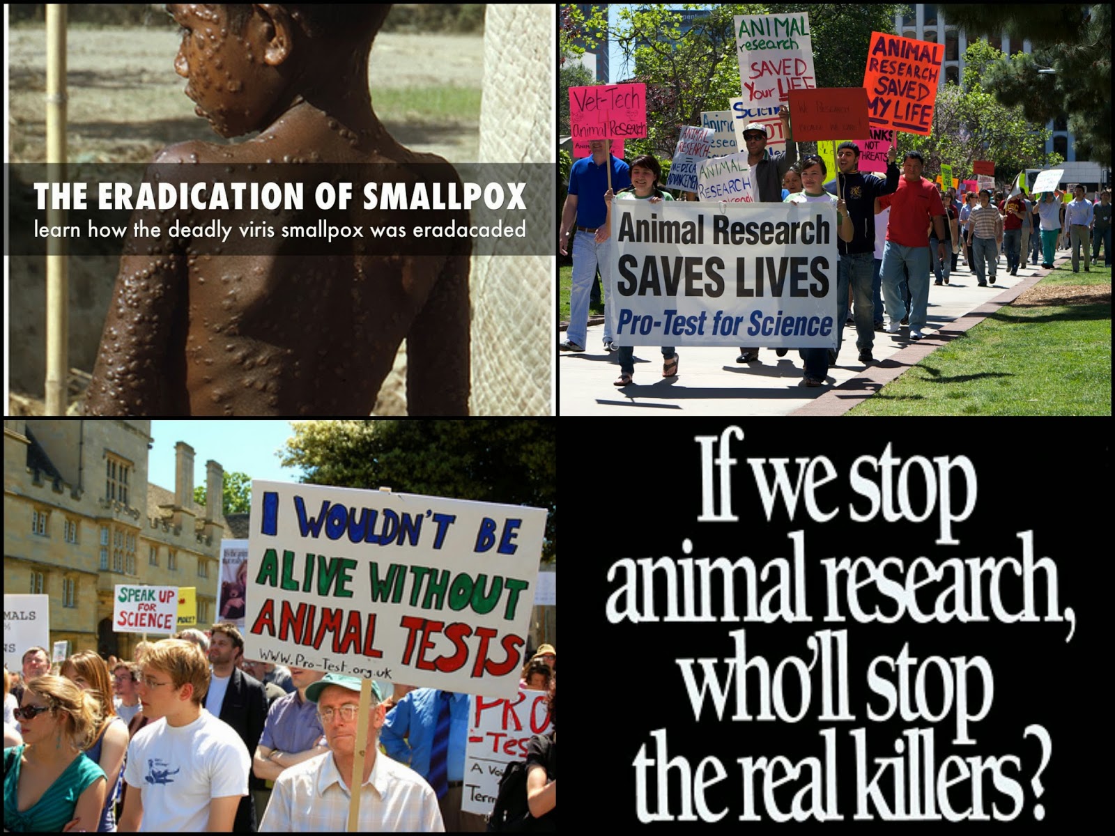 The Science Behind the Photo Animals in Research.