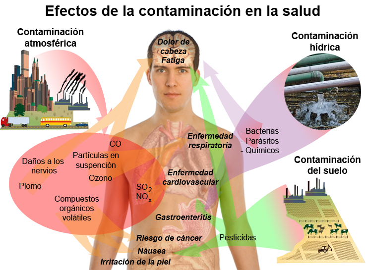 contaminaci-n-ambiental