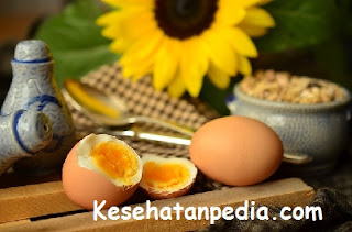 Manfaat kosumsi telur setiap hari bagi kesehatan