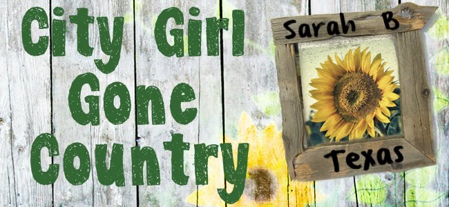 Sarah B Texas: City Girl Gone Country