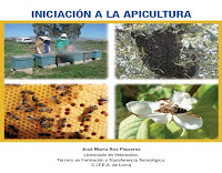 Iniciación a la apicultura | CARM iniciación-a-la-apicultura