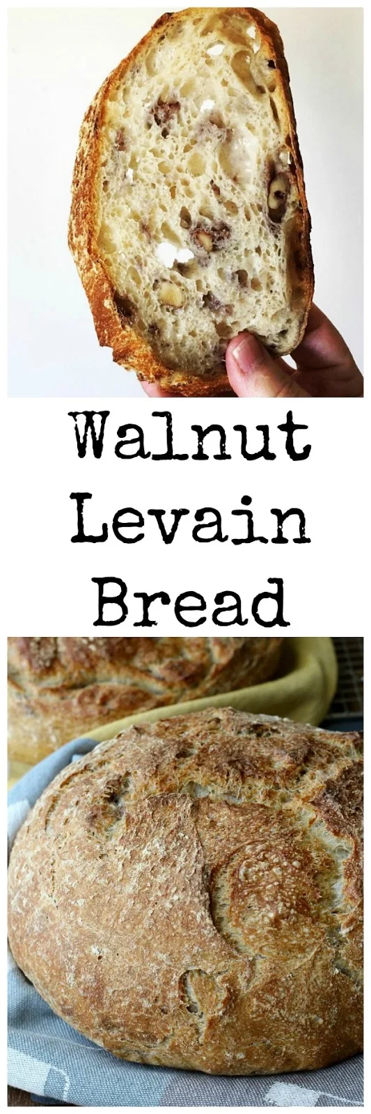 Walnut Levain Bread Karen's Kitchen Stories