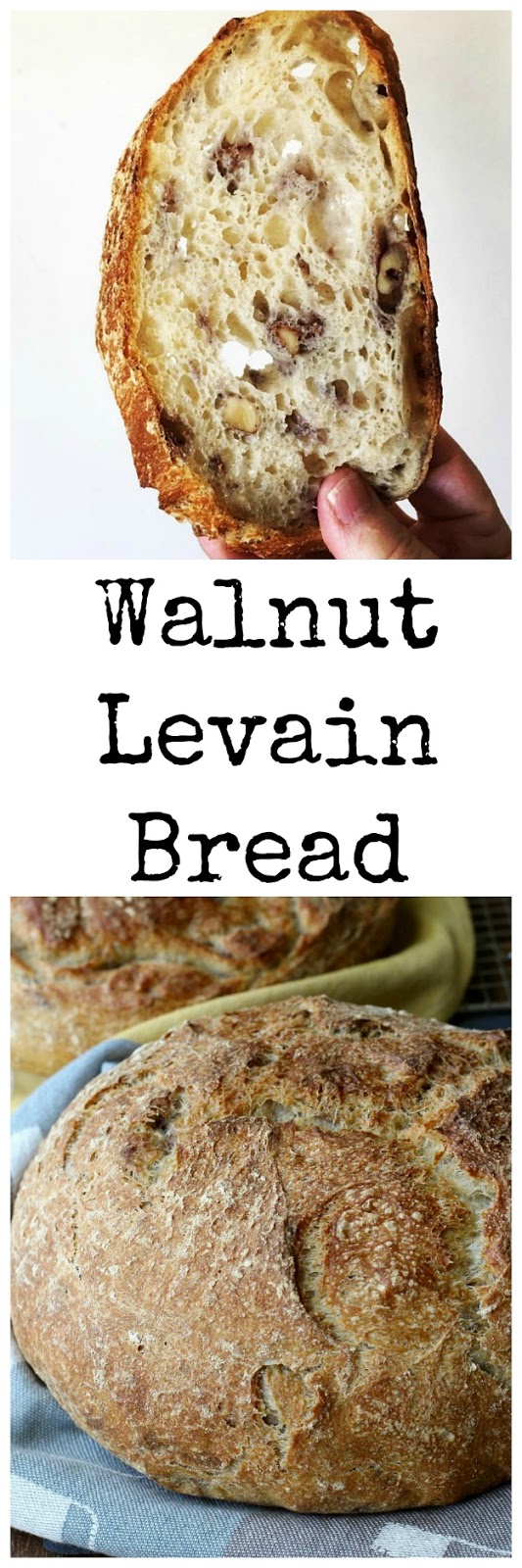 Walnut Levain Bread Karen's Kitchen Stories