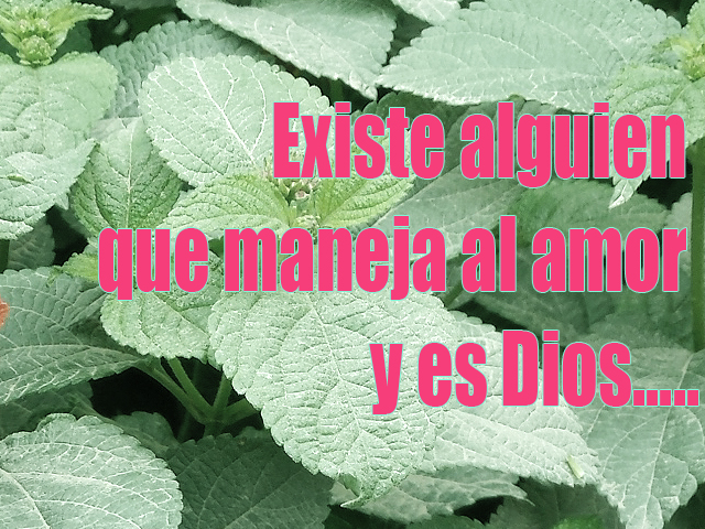 Existe alguien que maneja al amor y es Dios Existe alguien que maneja al amor y es Dios