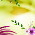 Karizma Album 12x36 Psd Wedding Background Free Download