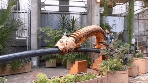 ezgif.com-resize.gif