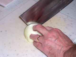 Onion vertical slice
