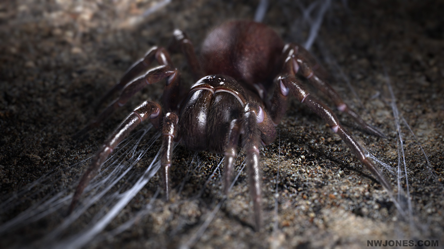 Nathan Jones Digital Artist Blog Look Development Funnel  Spider