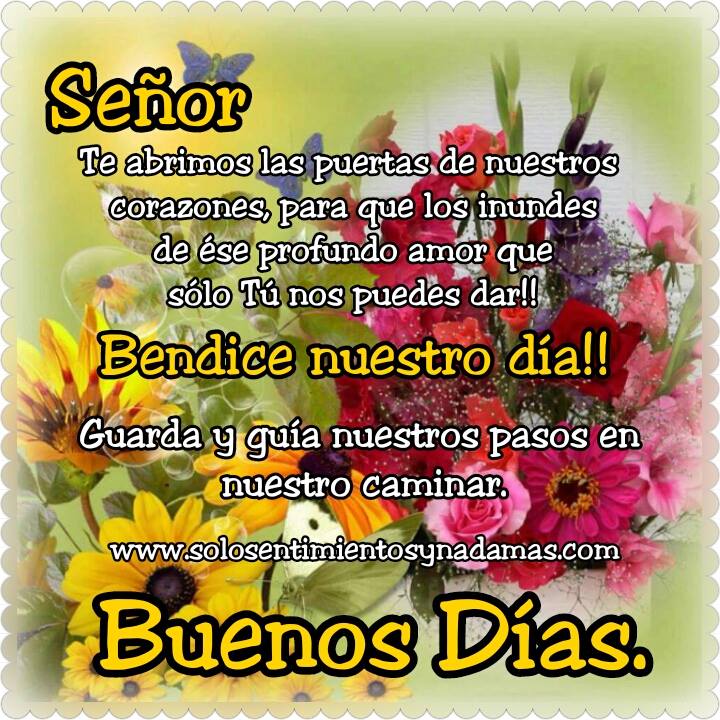 Señor te abrimos las puertas... - Solo sentimientos y nada mas
