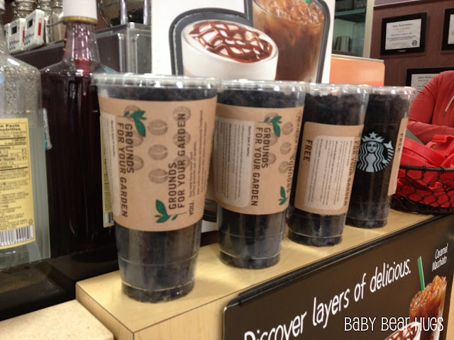coffee grounds from starbucks