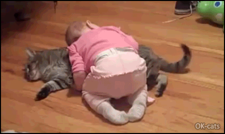 Art Cat GIF • Cinemagraph • Cute Kid sleeping on sleepy Cat wagging his tail Art Cat GIF • Cinemagraph • Cute Kid sleeping on sleepy Cat wagging his tail