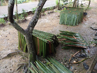 cara membuat atap rumbia cara membuat atap rumbia