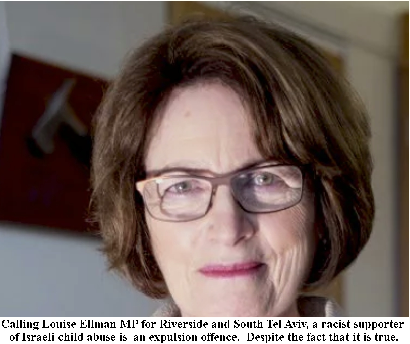 Tony Greenstein's Blog Louise Ellman MP for Liverpool Riverside and