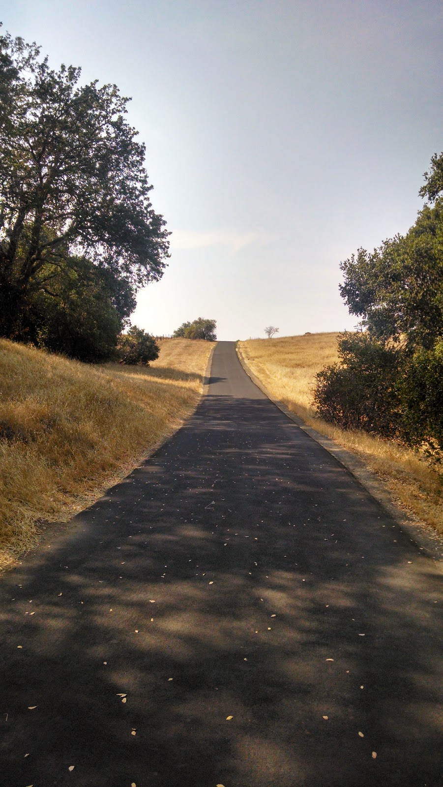 Stanford Dish, Stanford