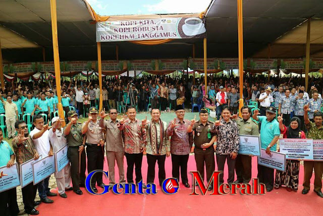 Puluhan Ribu Warga Tanggamus Sambut Kunker Gubernur Lampung