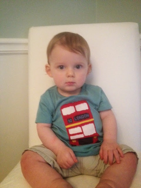 the urban weenies: Miles is 11 months old!