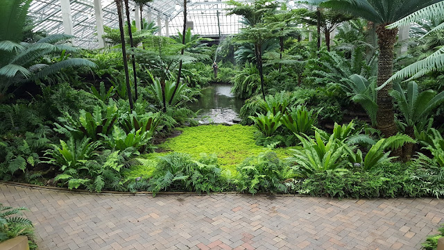 Take a look at Chicago's beautiful Garfield Park Conservatory by Musings of a Museum Fanatic