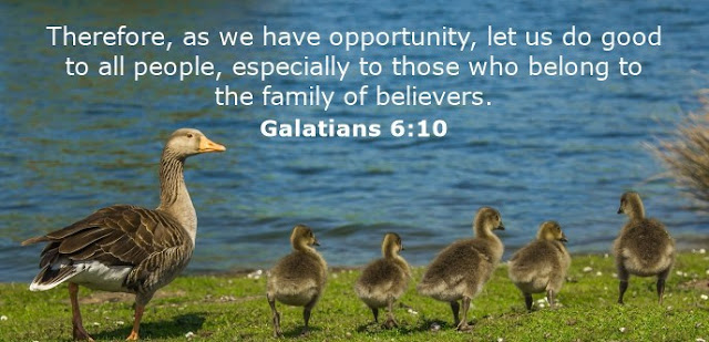   Therefore, as we have opportunity, let us do good to all people, especially to those who belong to the family of   believers. 
