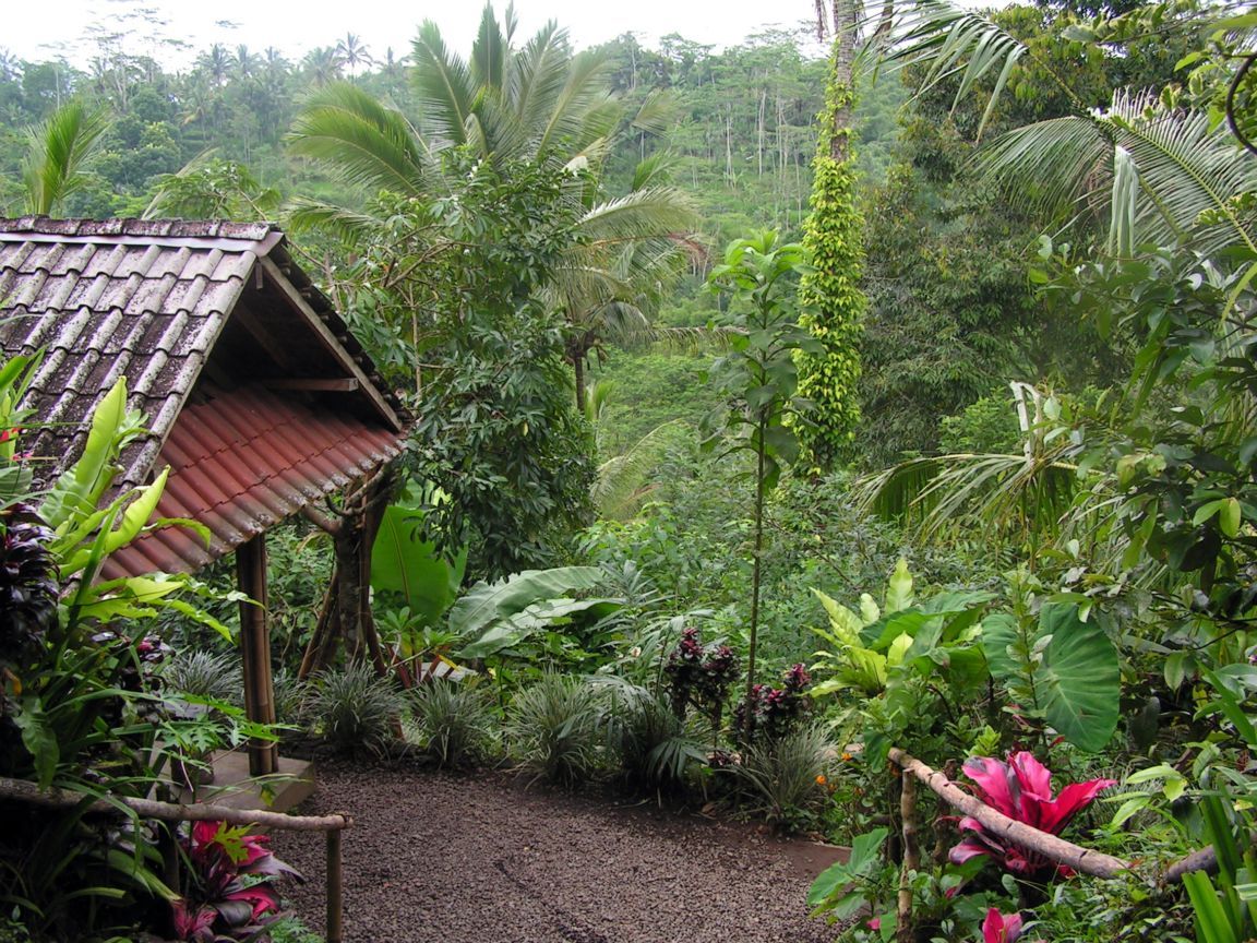 Pretty Woman Balinese Coffee A must try for coffee lovers