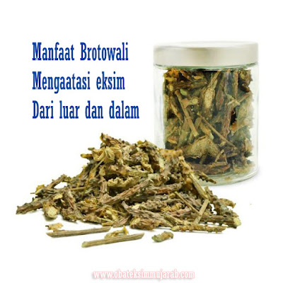 Foto Obati Eksim Dengan Bahan Alami (Brotowali)