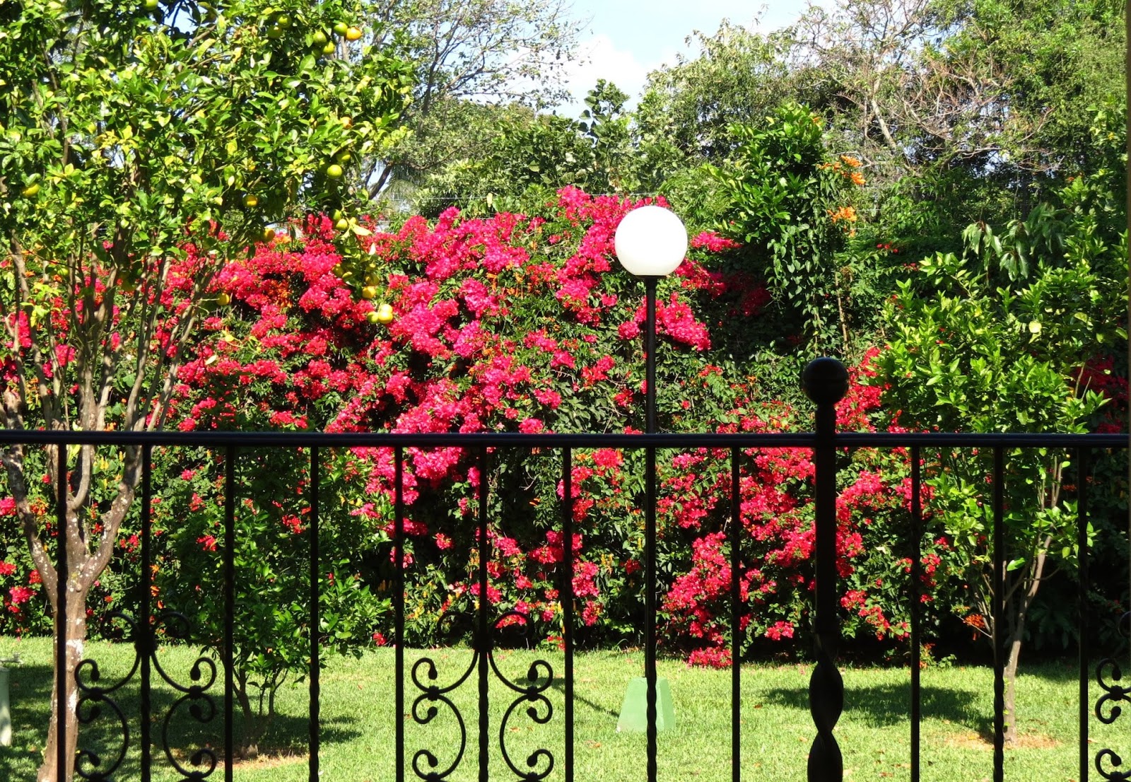 Hotel Bougainvillea, Santo Domingo de Heredia, Costa Rica Travels