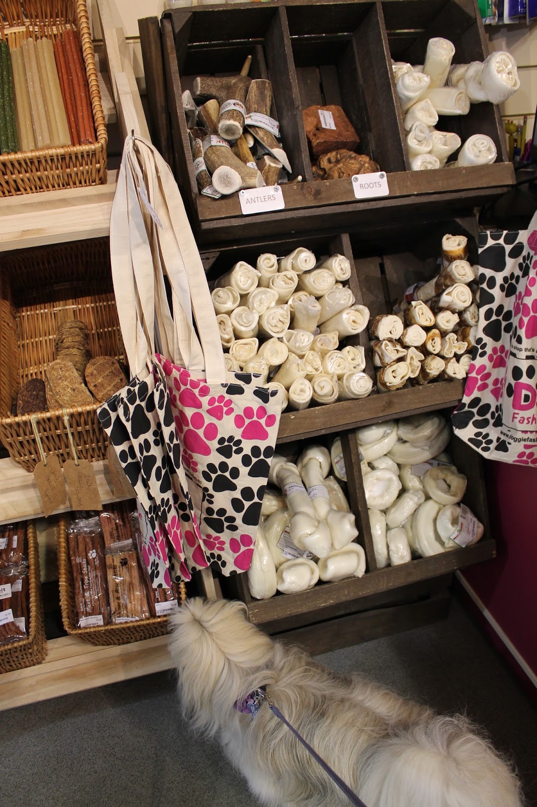 Trentham Gardens The Trentham Estate Staffordshire Paws across