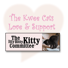 Itty Bitty Kitty Committee