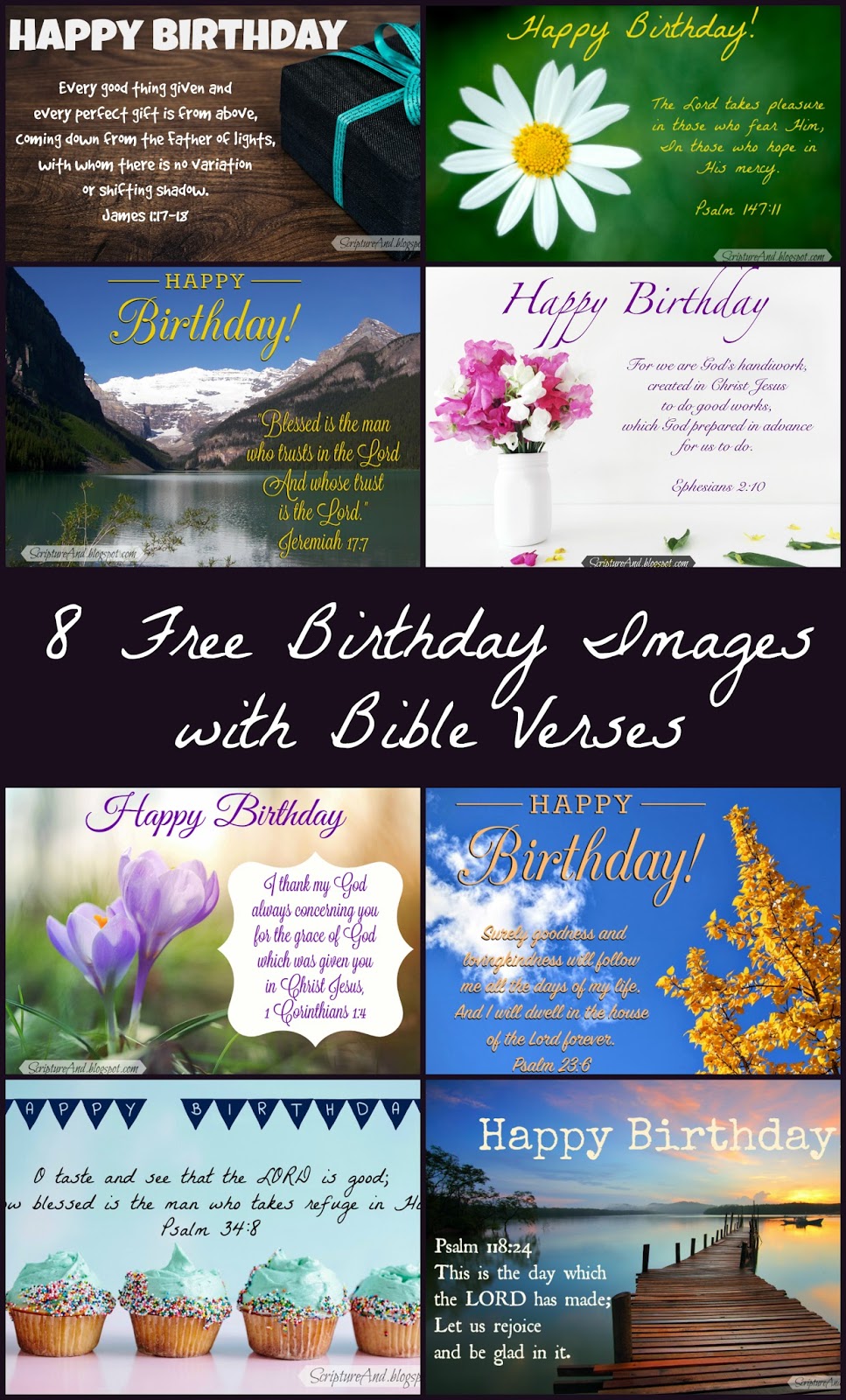 Box of 12 Birthday Greeting Cards with Bible Scripture Gods Majesty