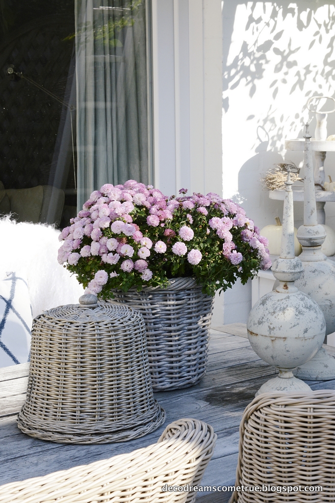 Dreams Come True: Herbst & Terrasse