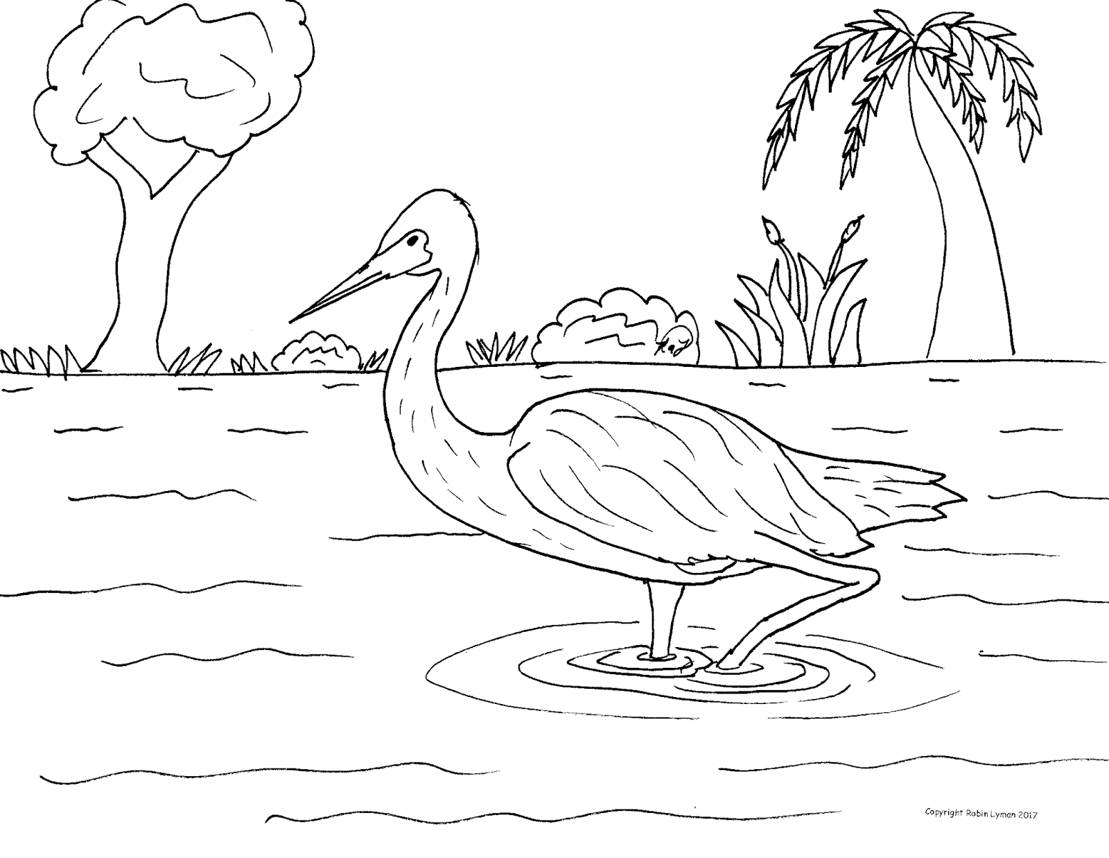 Robin's Great Coloring Pages: Birds of the Yucatan