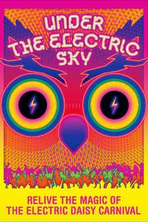 Under the Electric Sky 2014 BluRay 480p 300mb ESub