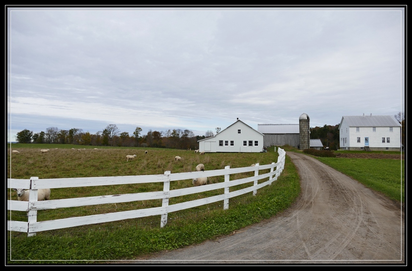 Part II of Our Autumn Visit to Amish Country in Upstate NY Life As I
