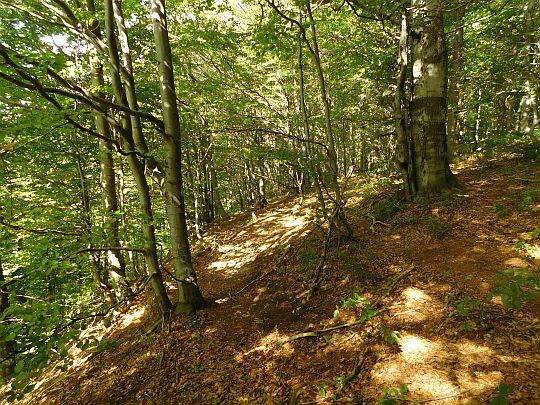 Ścieżka nad wyrobiskiem kamieniołomu.