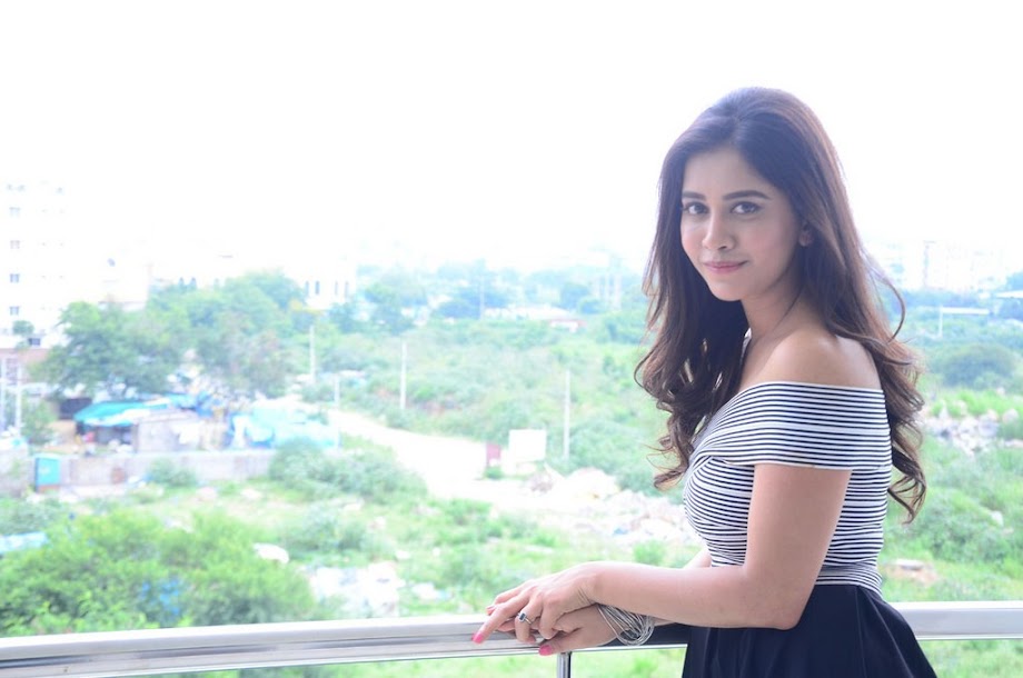 Nabha Natesh at Nannu Dochukunduvate Interview