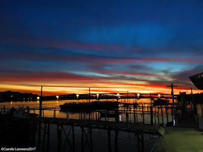 Koh Samui, Thailand daily weather update; 6th February, 2017