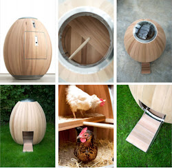 kandang ayam paling kreatif nogg egg chicken unik serba aja boleh apa yang pod shaped kaskus kayu