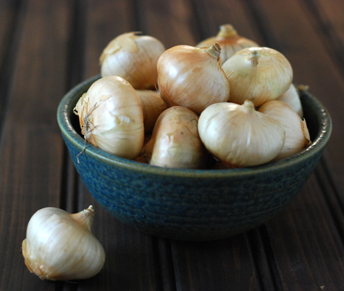 cippolini onions
