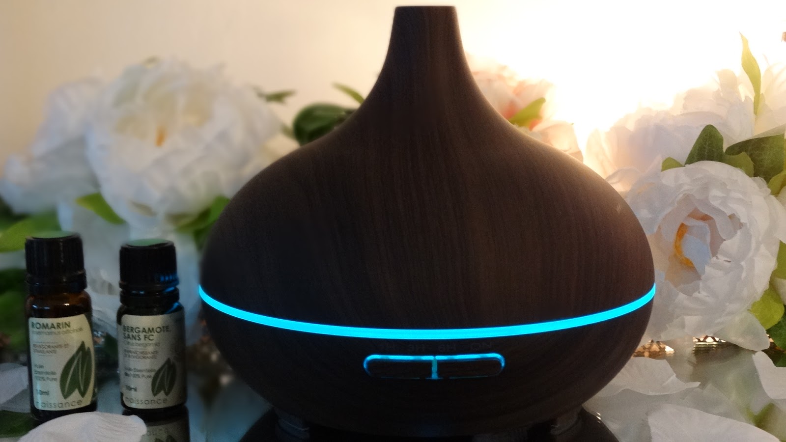 VICTSING HUMIDIFICATEUR & DIFFUSEUR D