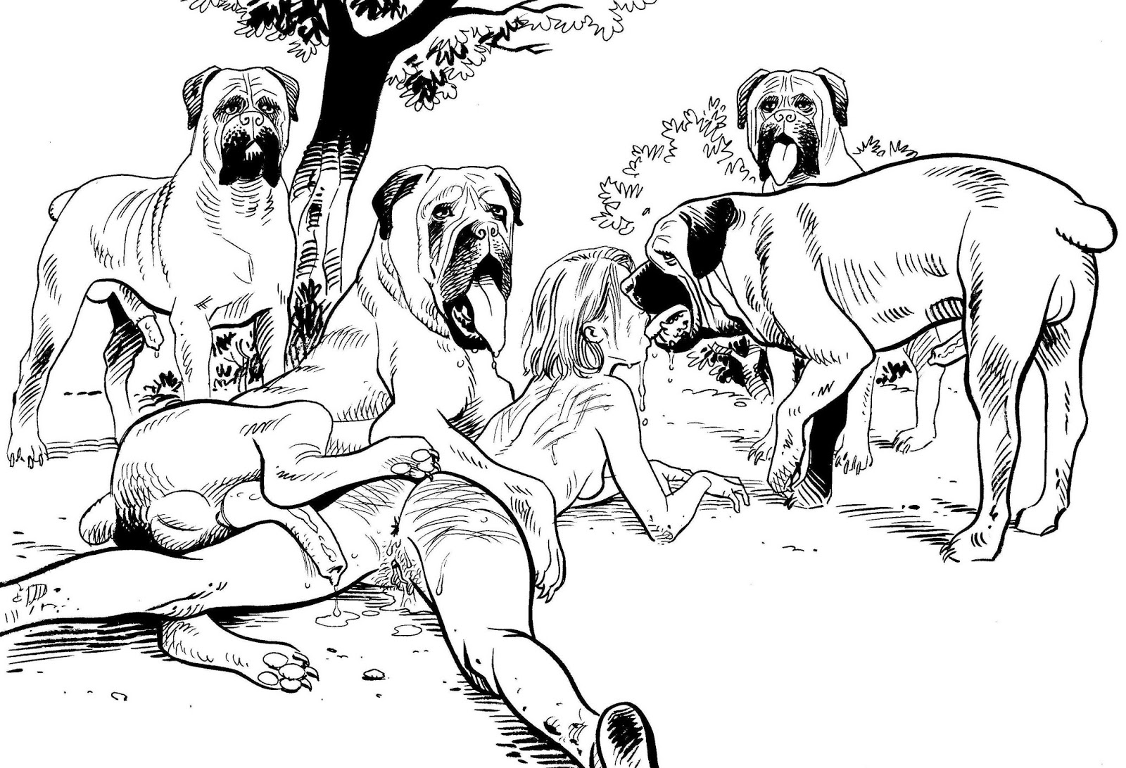 Animal porn drawings