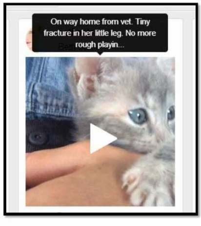 Beth Fan Page (BFP): The Howard Stern Show Tapes